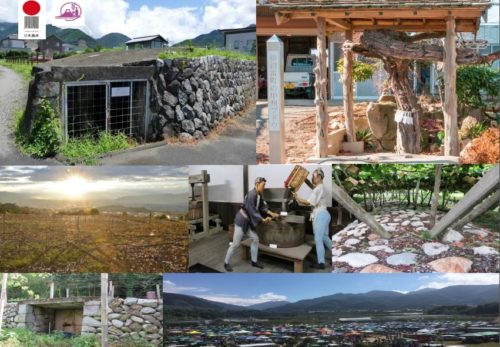 日本遺産「葡萄畑が織りなす風景」をめぐるモニターツアー＜甲州市勝沼エリア①＞参加者募集中です。