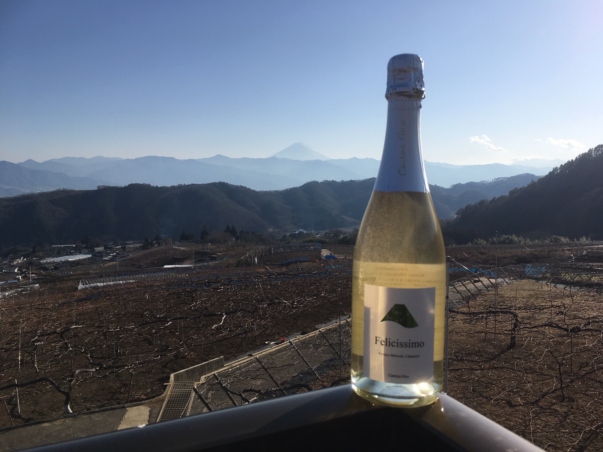 【白】甲州スパークリング(瓶内二次発酵)