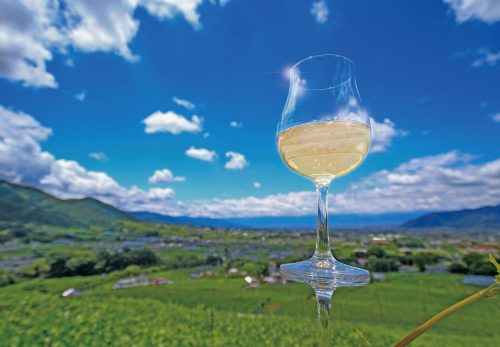 【ツアー中止のお知らせ】タクシー（またはジャンボタクシー）でめぐる『峡東ワインツアー』